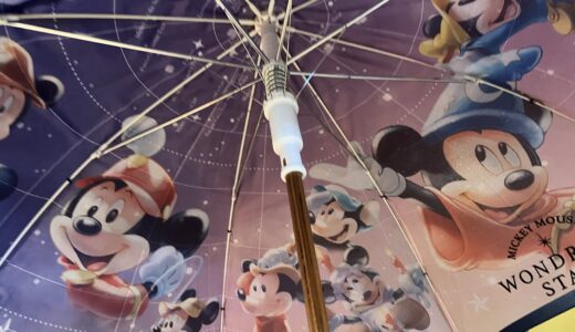 【香港ディズニー】雨の日のパークも楽しもう！可愛い傘特集！