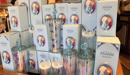 【香港ディズニー】新エリア「World of Frozen」オープン記念！スターバックスの限定タンブラーが発売！